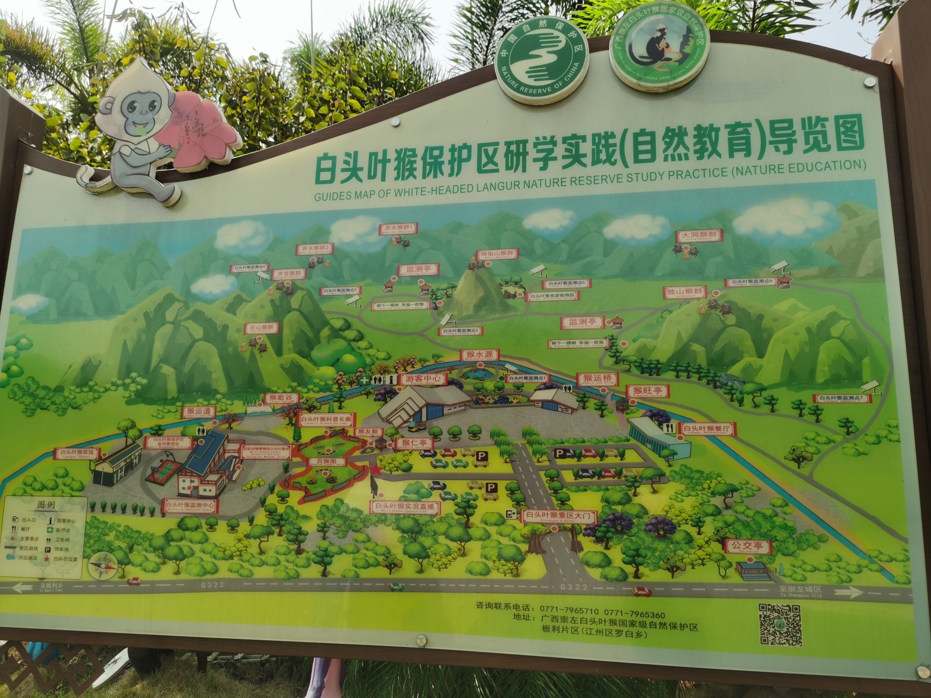 广西白头叶猴生态旅游区旅行图片 3
