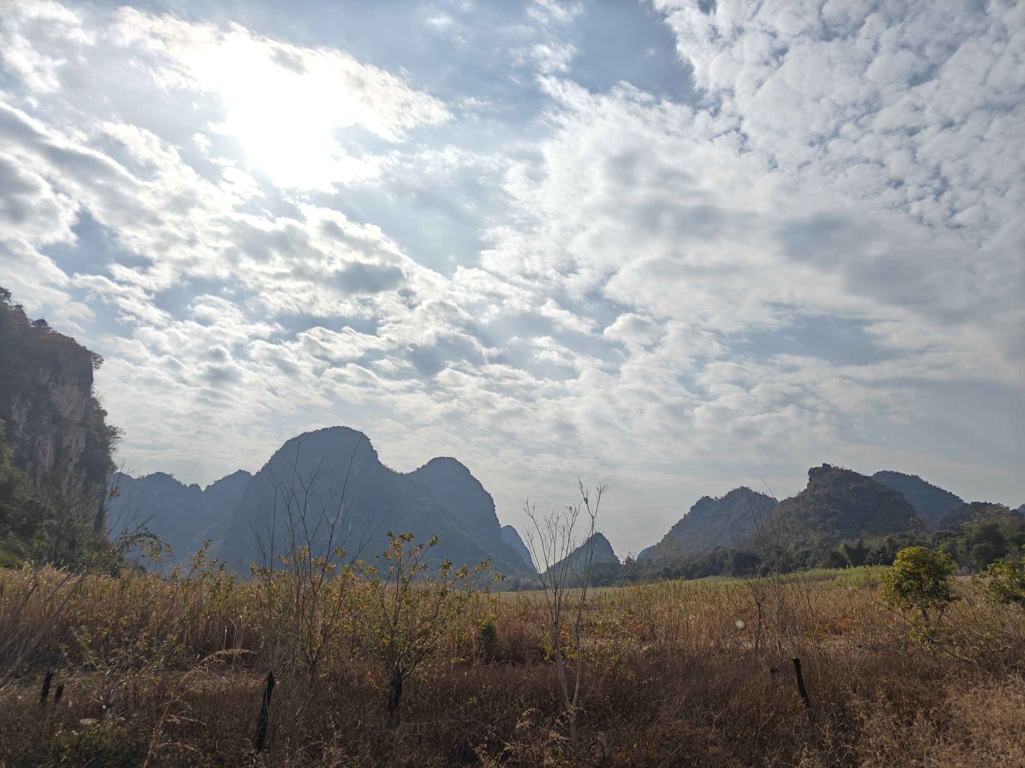 广西白头叶猴生态旅游区旅行图片 3