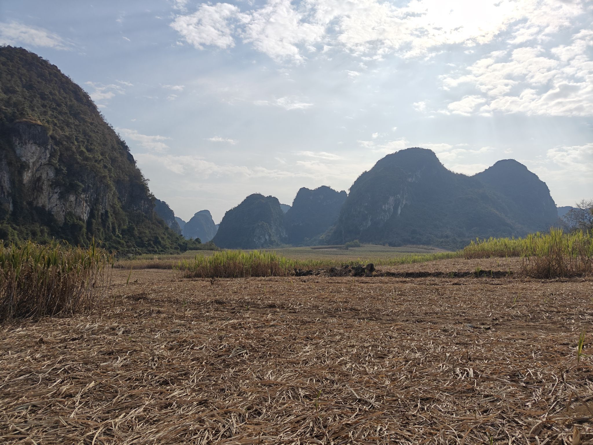 广西白头叶猴生态旅游区旅行图片 2