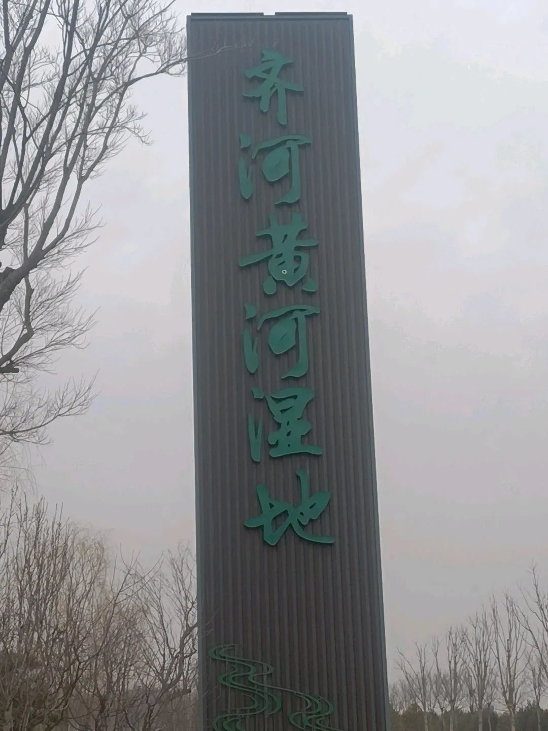黄河水乡国家湿地公园旅行图片 1