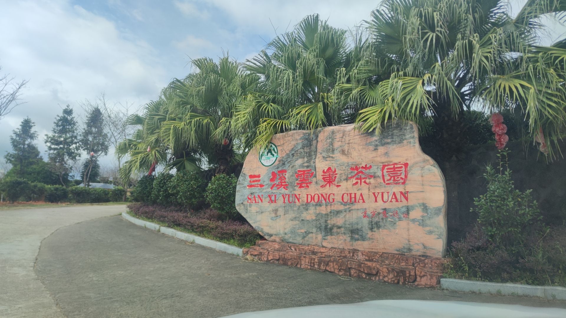 恩仔岽三溪茶园名胜风景区旅行图片 1