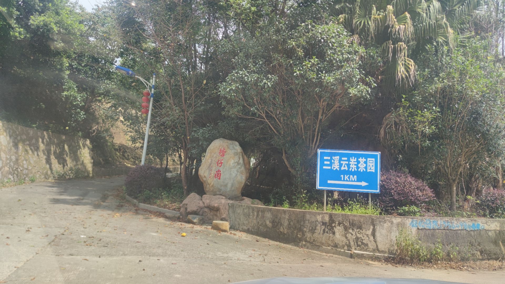 恩仔岽三溪茶园名胜风景区旅行图片 3