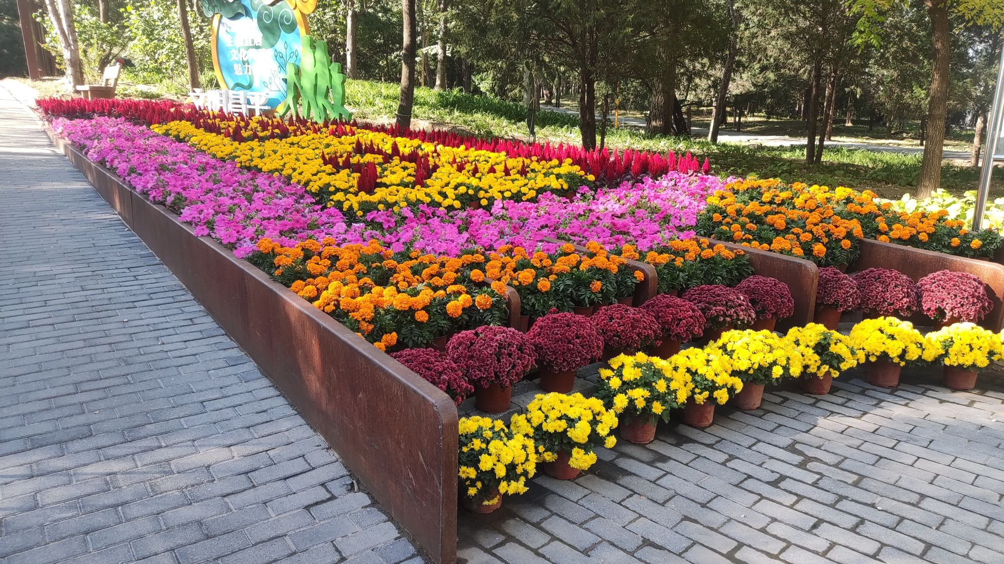 奥北森林公园旅行图片 2