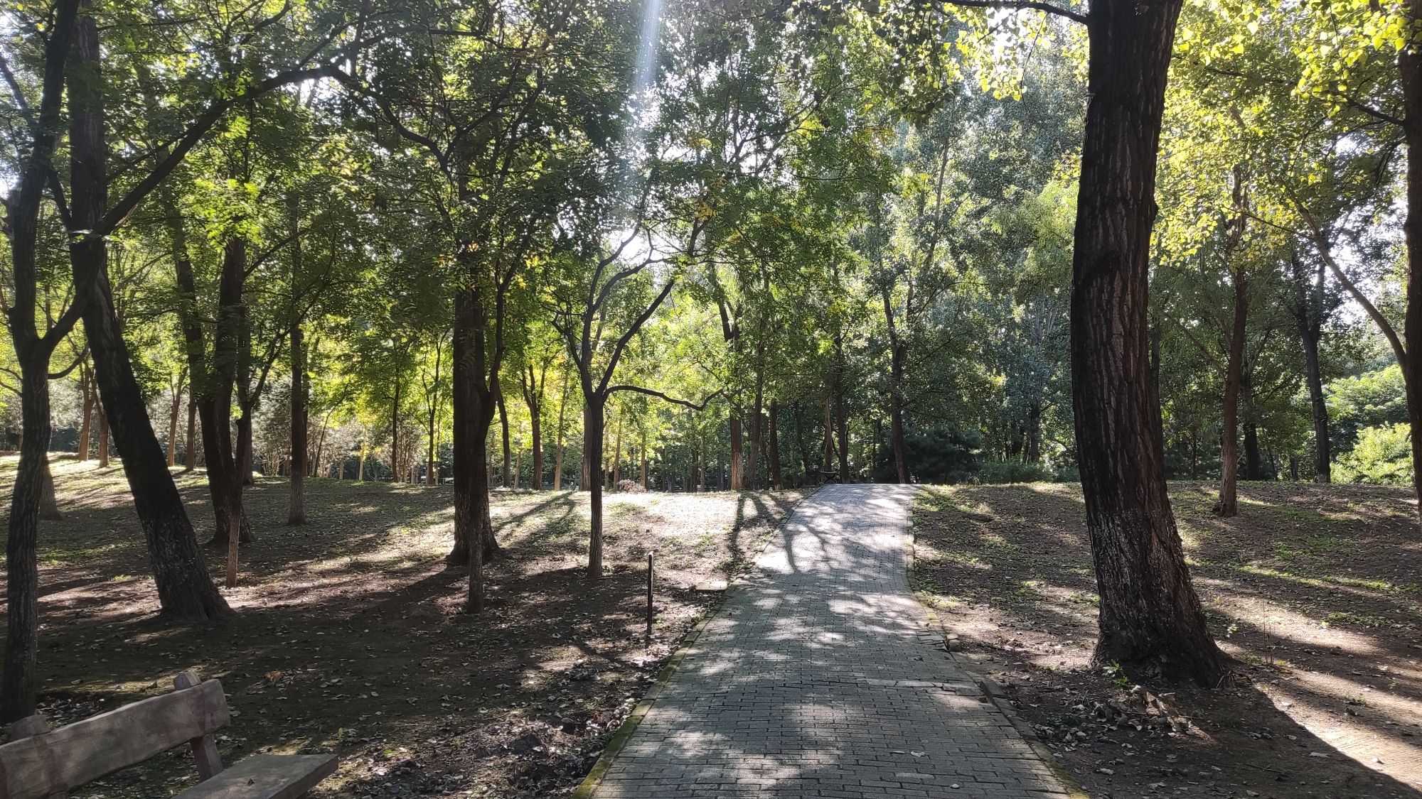 奥北森林公园旅行图片 3