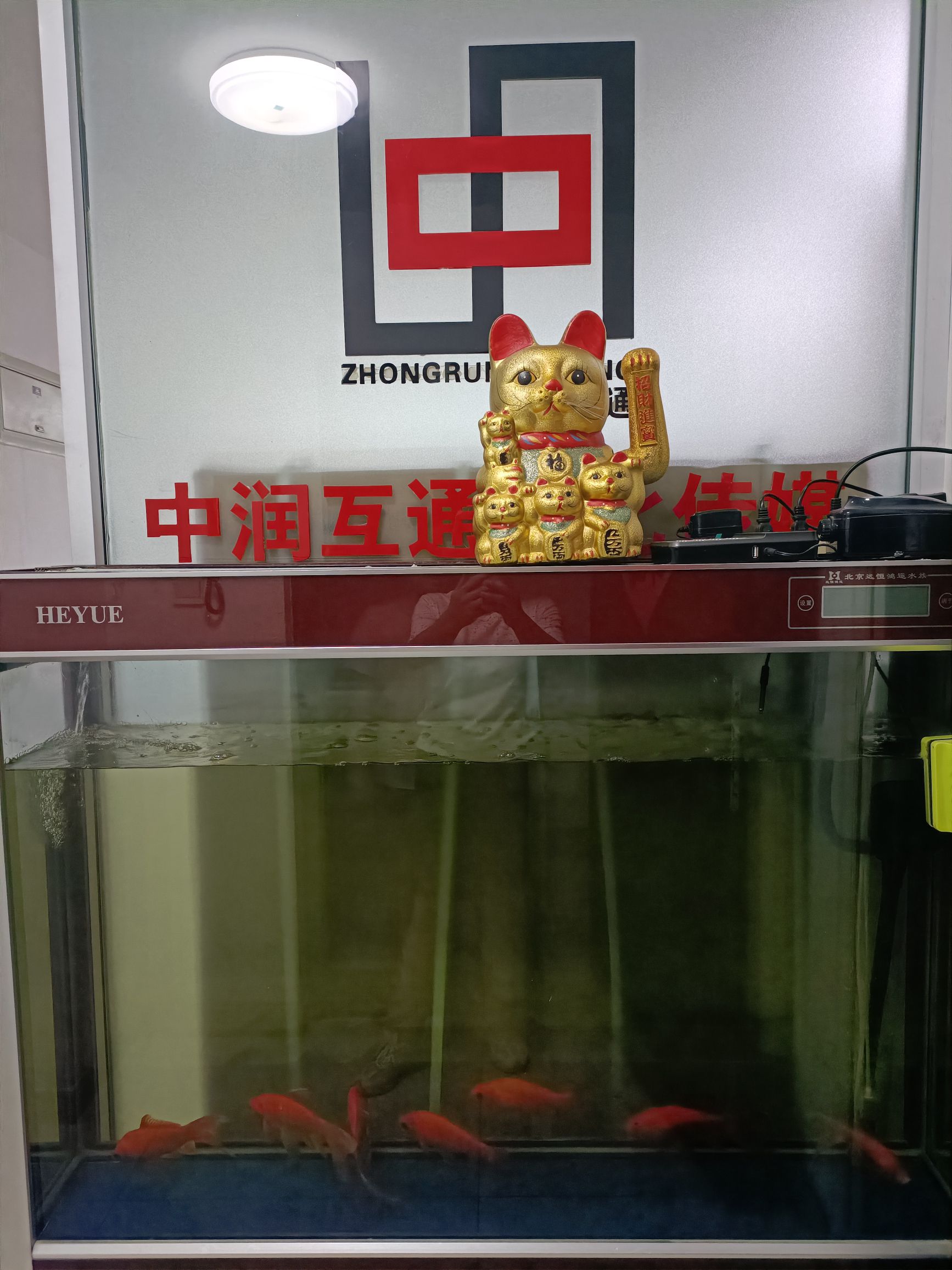 中润互通小程序技术开发