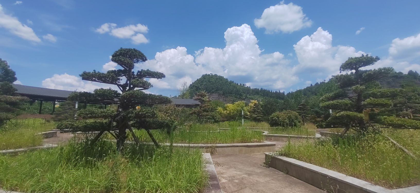 木杉河湿地公园
