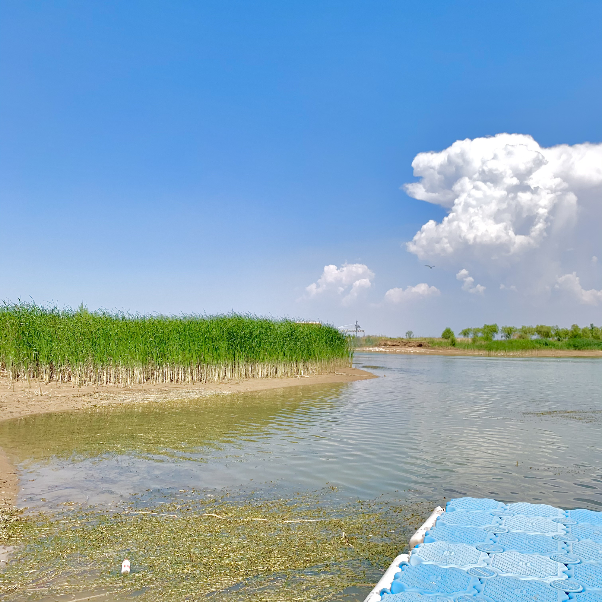 奈伦湖国家湿地公园旅行图片 3