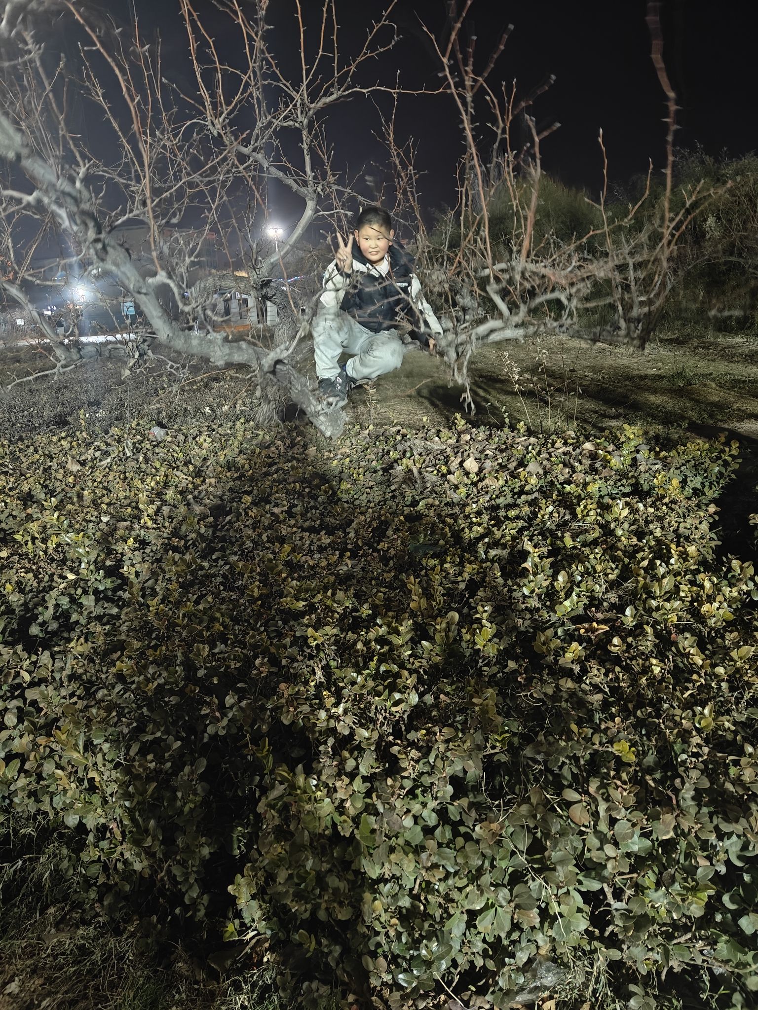 文侯公园旅行图片 1