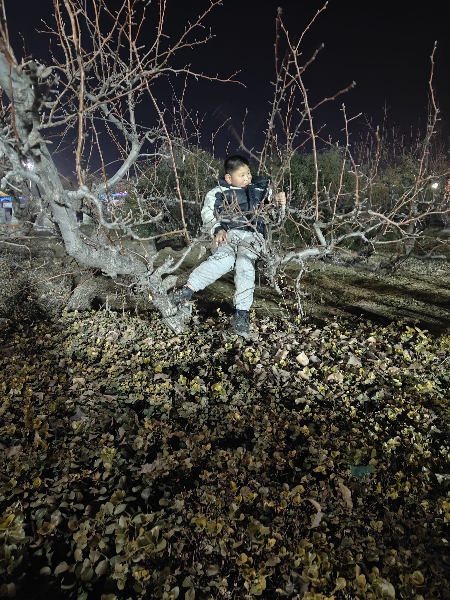 文侯公园旅行图片 3