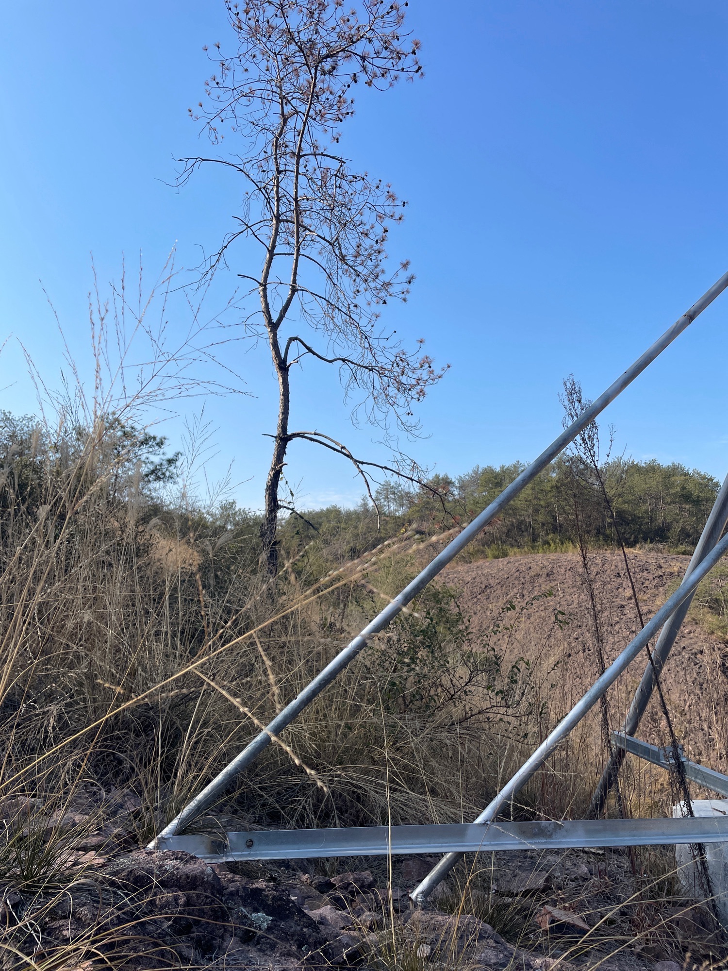 仙洞山森林公园旅行图片 3