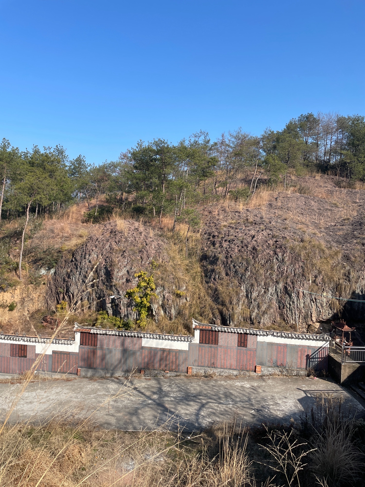 仙洞山森林公园旅行图片 2