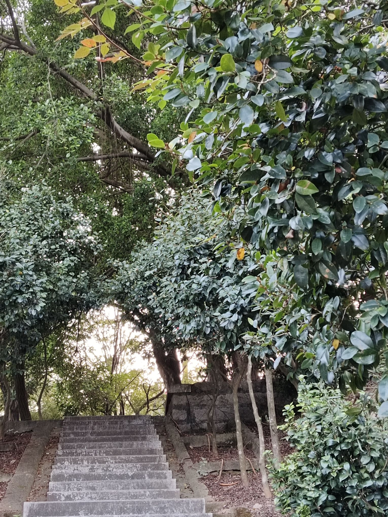 南安太湖岩风景区旅行图片 3