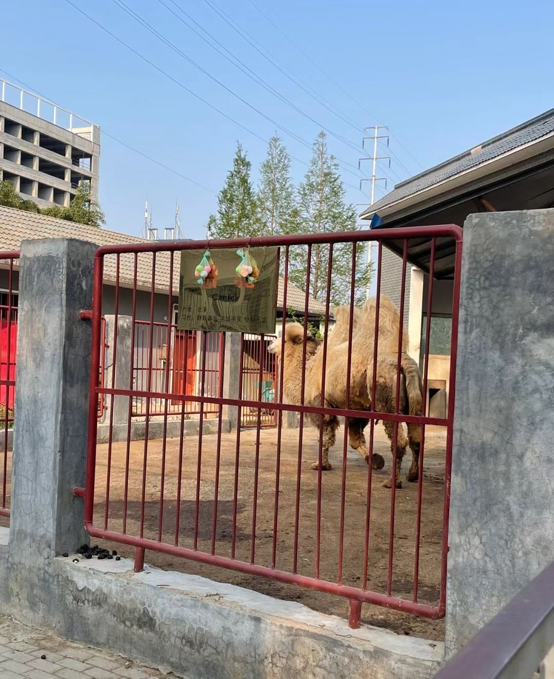 许昌动物园旅行图片 2