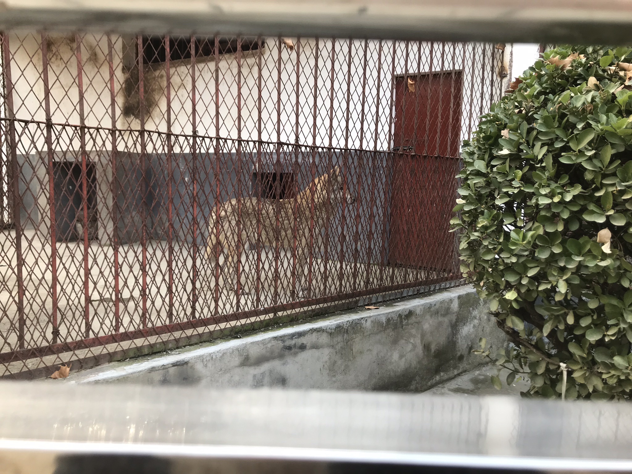 许昌动物园旅行图片 2