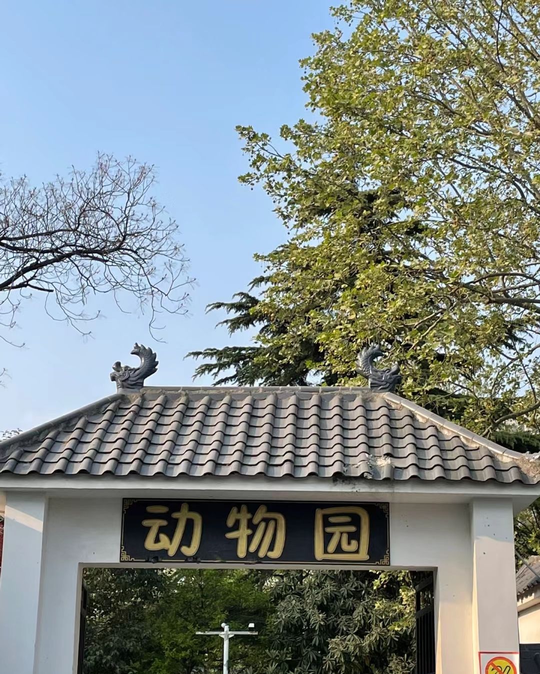 许昌动物园旅行图片 3