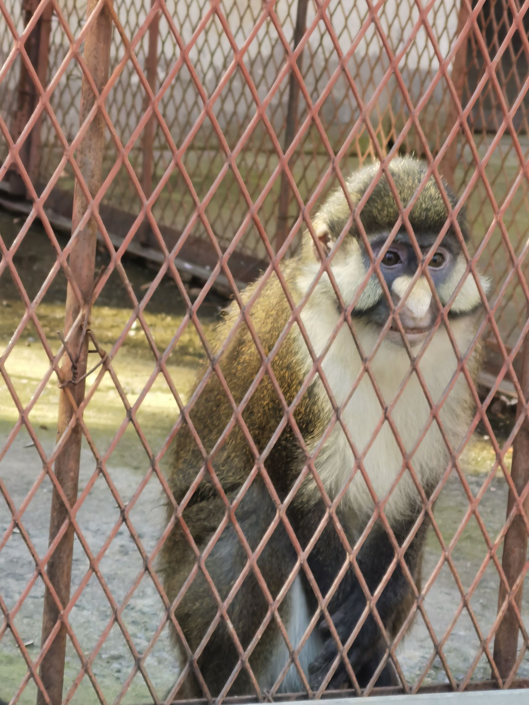 许昌动物园旅行图片 1