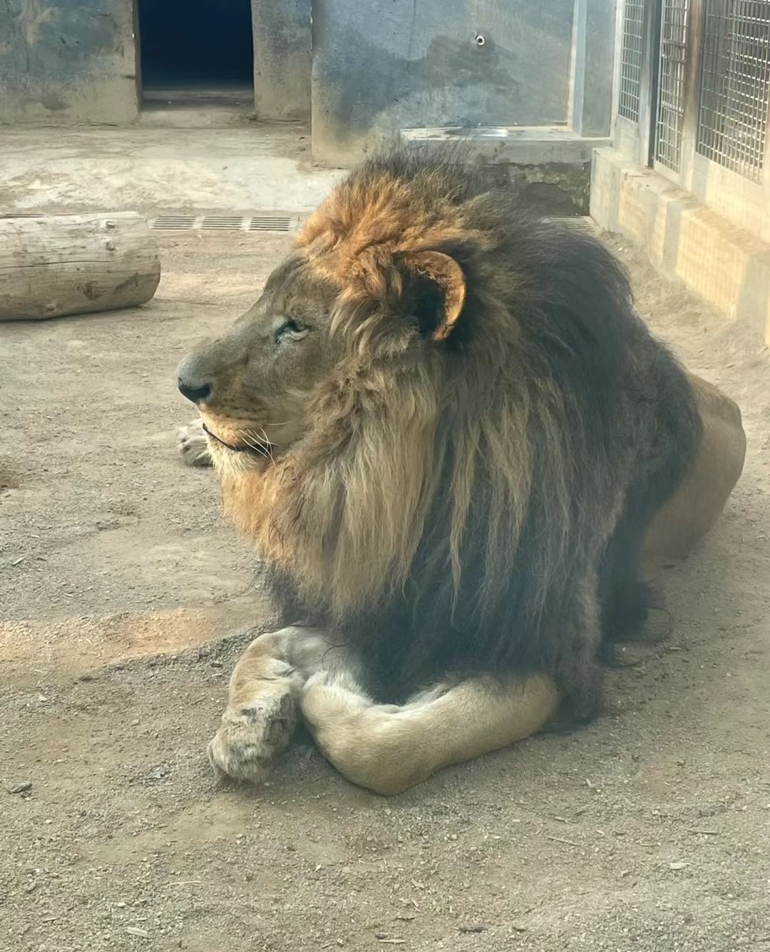 许昌动物园旅行图片 1