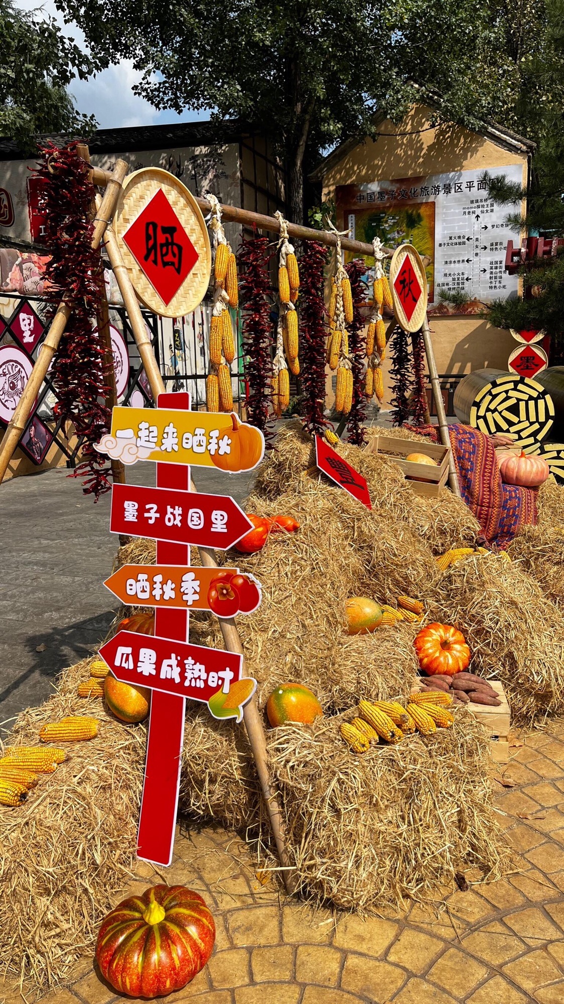 墨子战国里旅行图片 3
