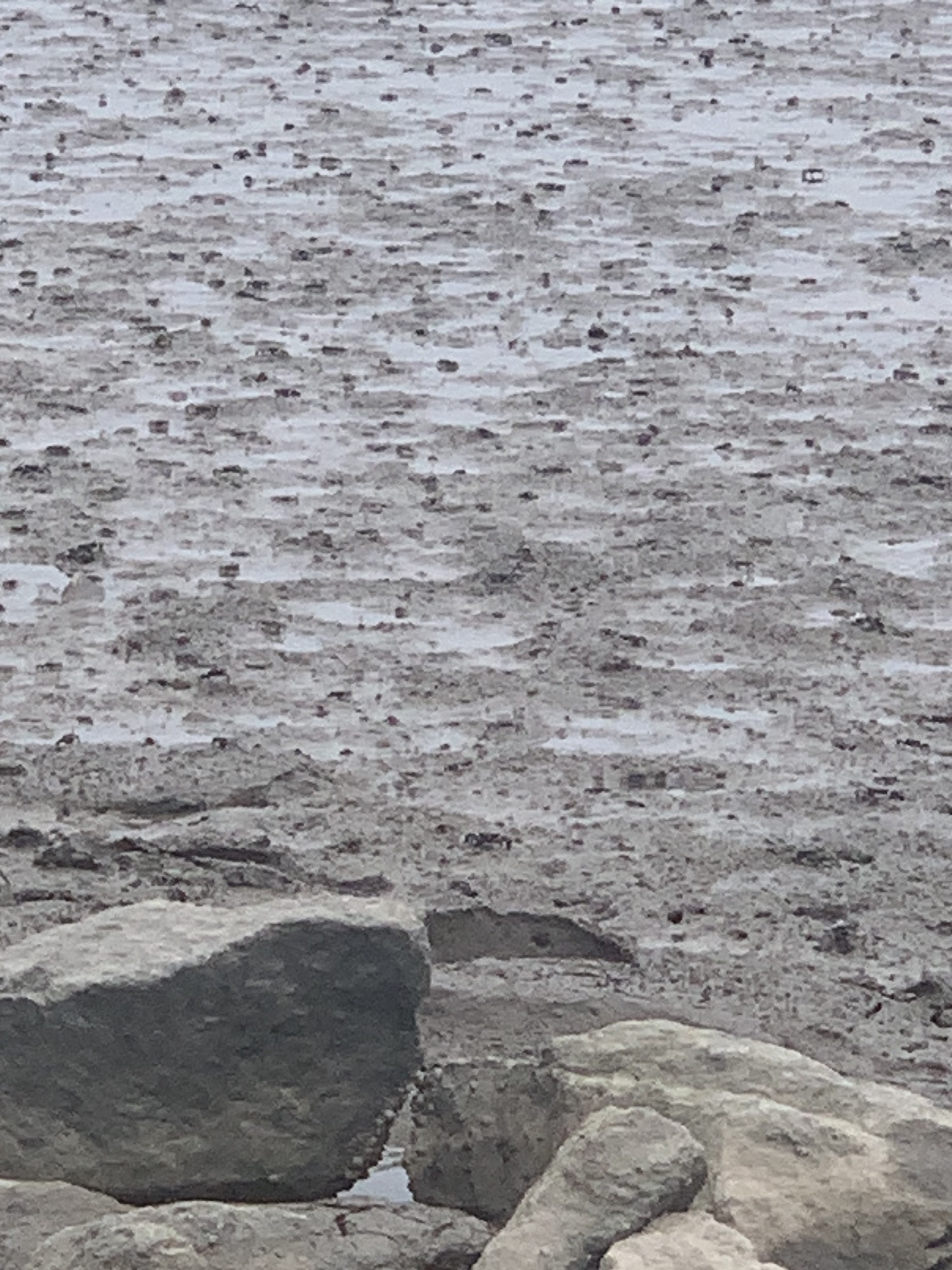 庄河明珠湖广场旅行图片 1
