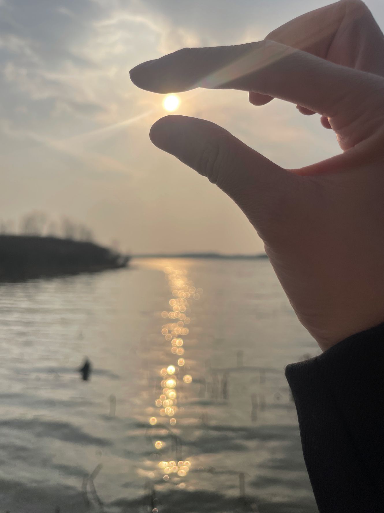 丁香湖公园旅行图片 2