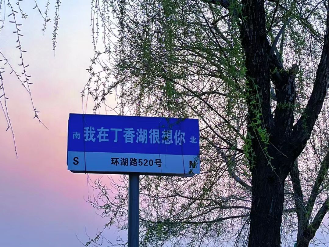 丁香湖公园旅行图片 1