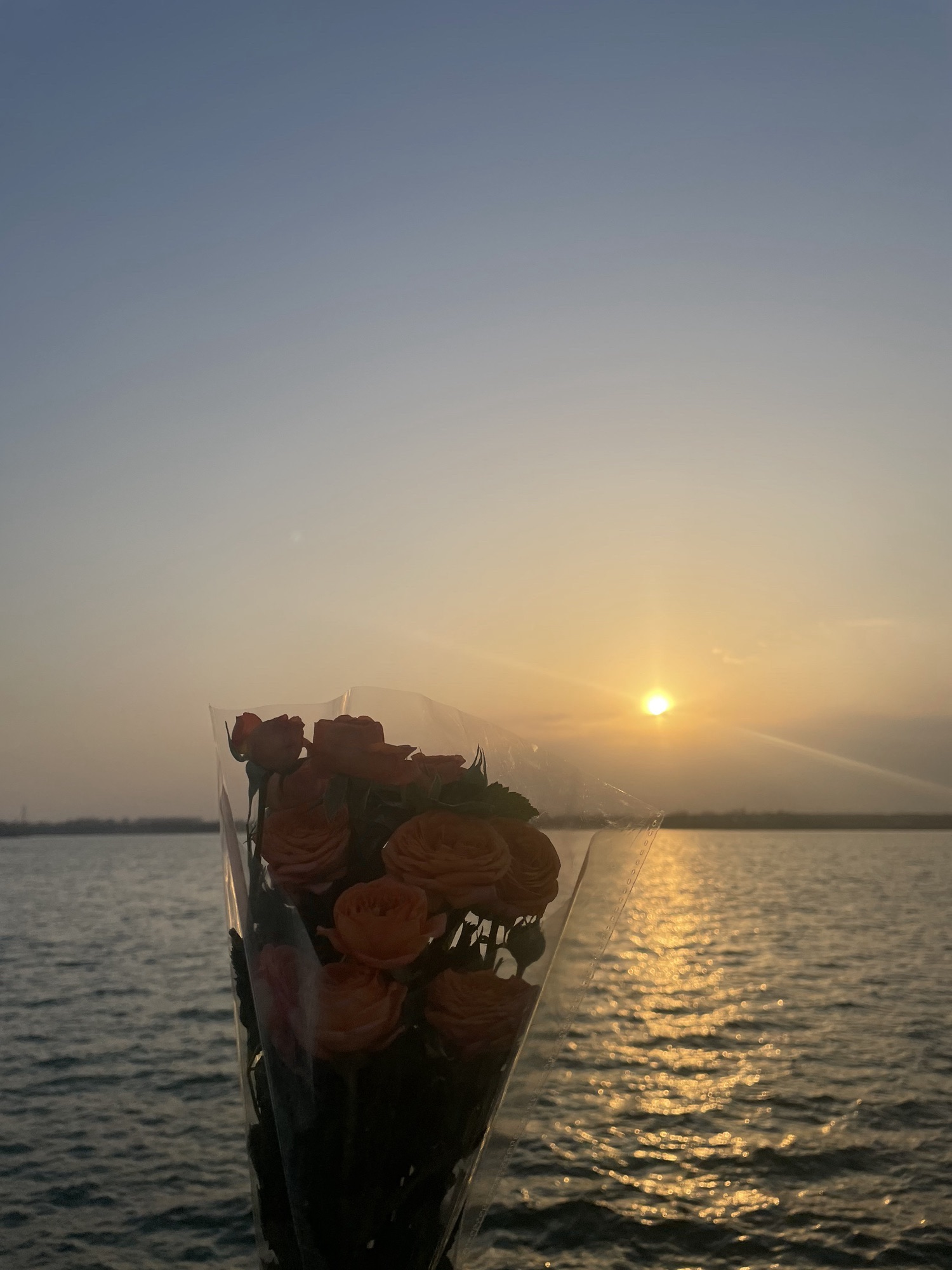 丁香湖公园旅行图片 2
