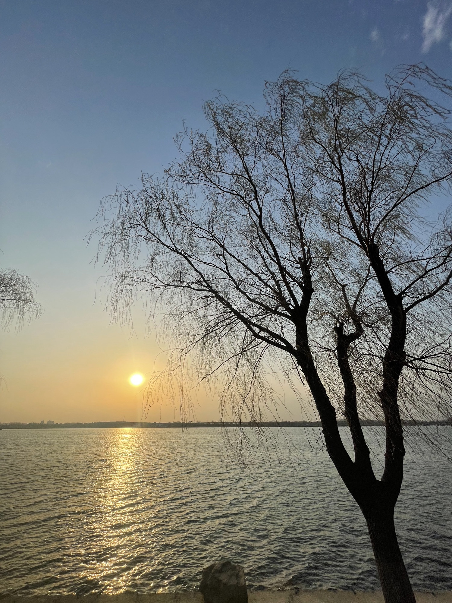丁香湖公园旅行图片 1