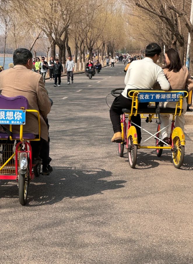 丁香湖公园旅行图片 3