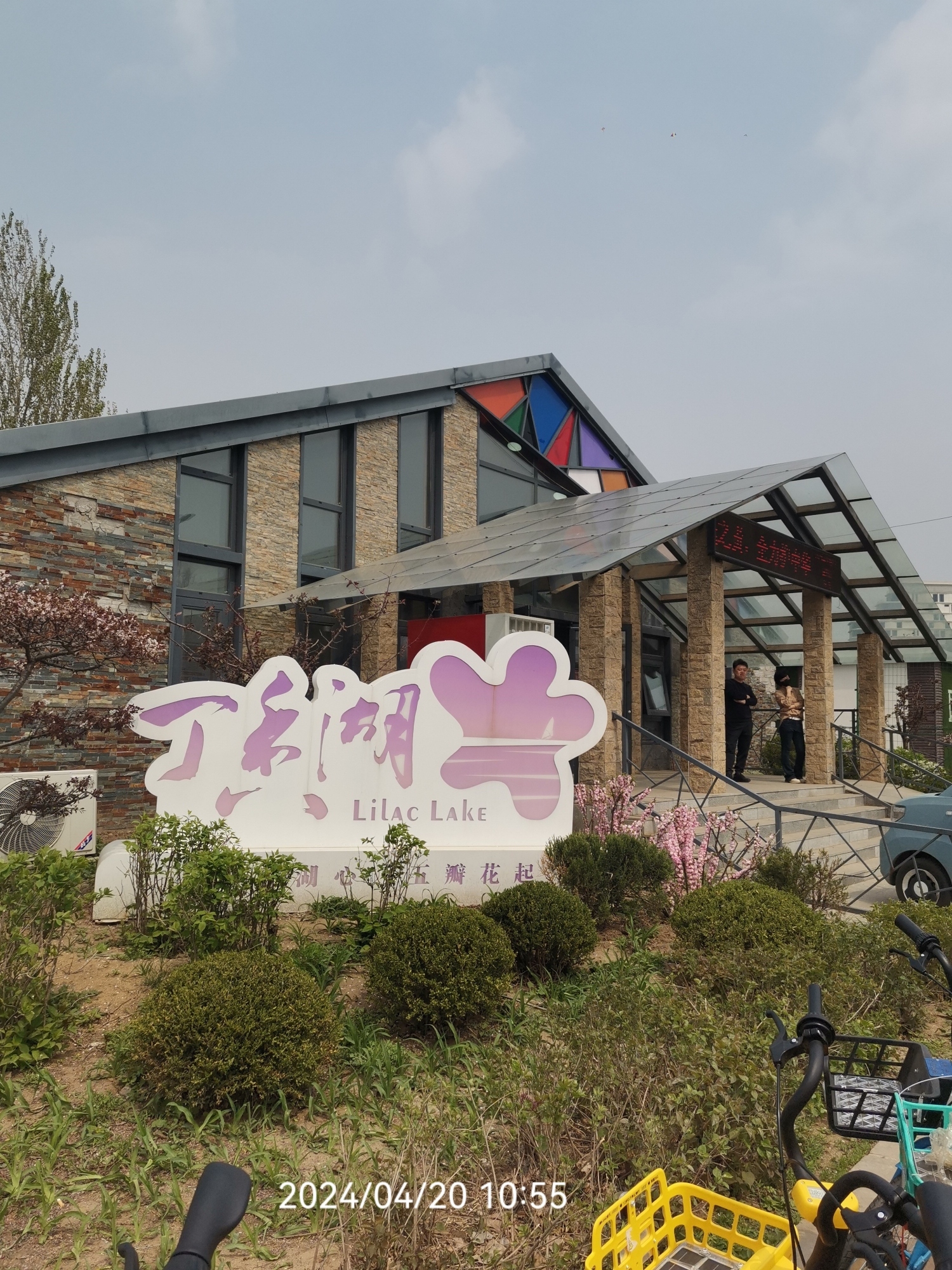 丁香湖公园旅行图片 3