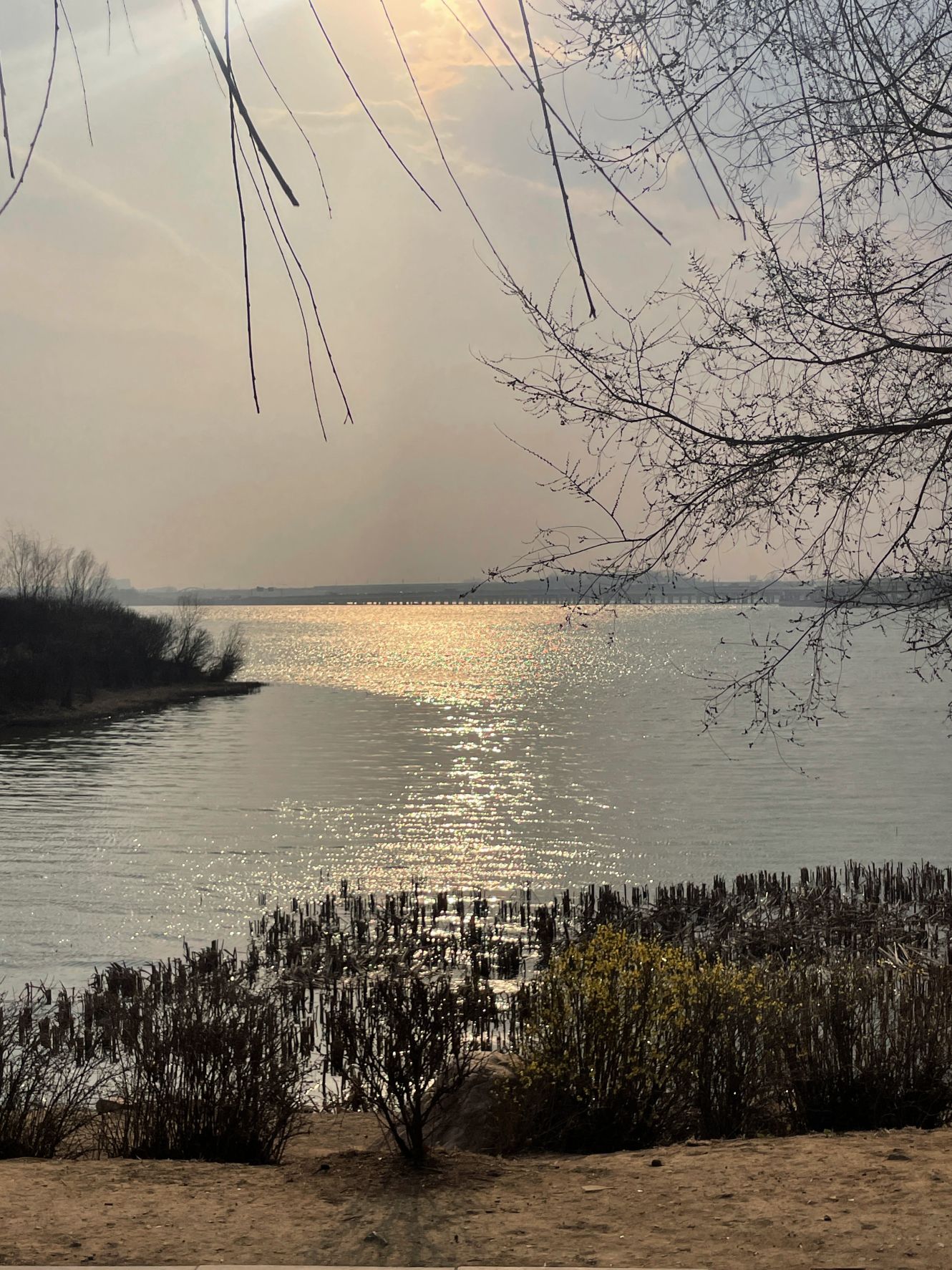 丁香湖公园旅行图片 1