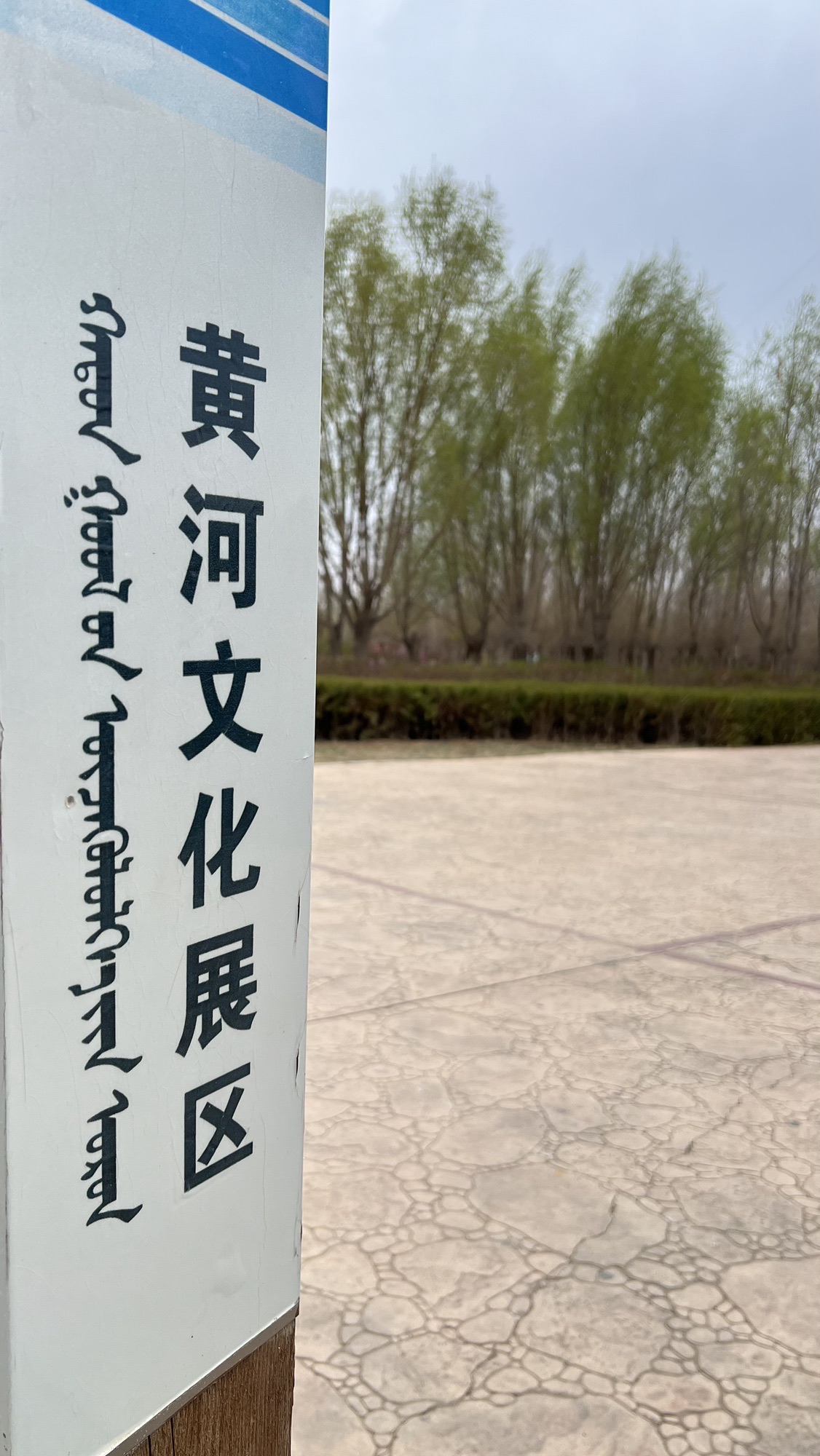 黄河河套文化旅游区湿地公园旅行图片 2