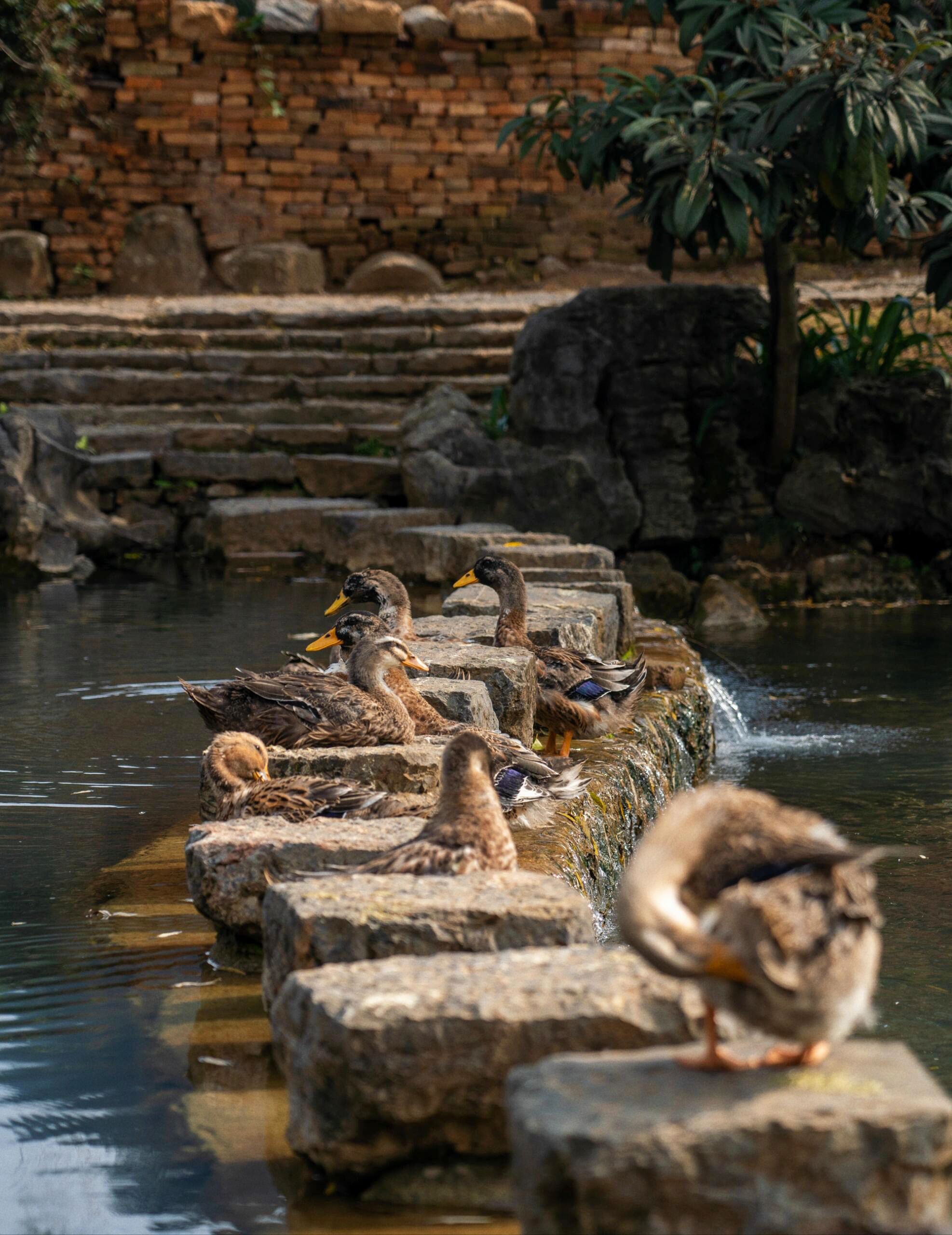 勾蓝瑶寨旅行图片 3