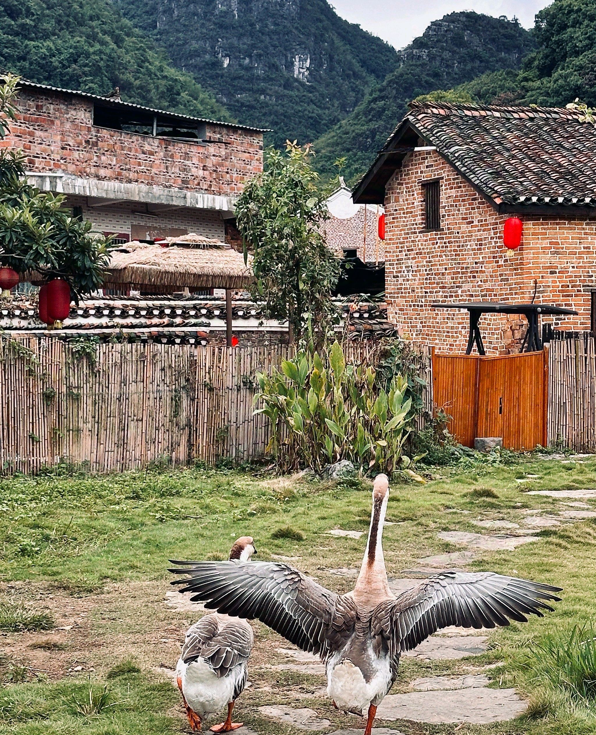 勾蓝瑶寨旅行图片 3