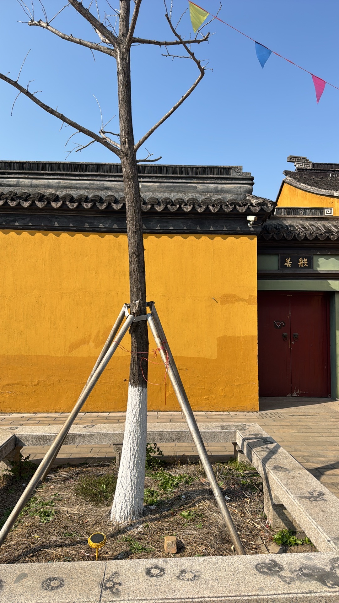甄山寺-三姑殿实景照片