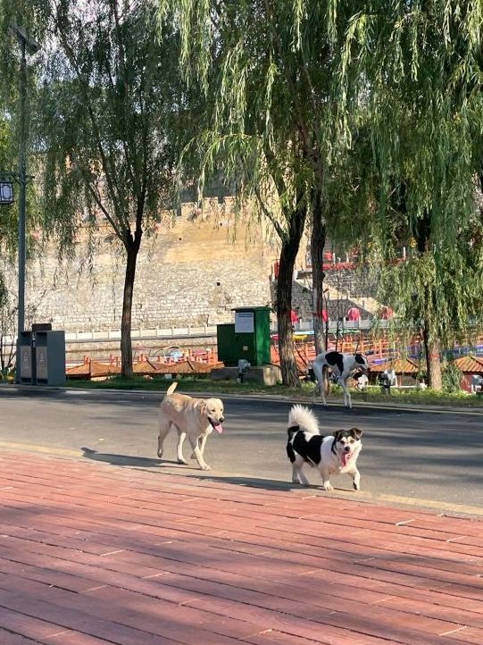 润湖公园旅行图片 3