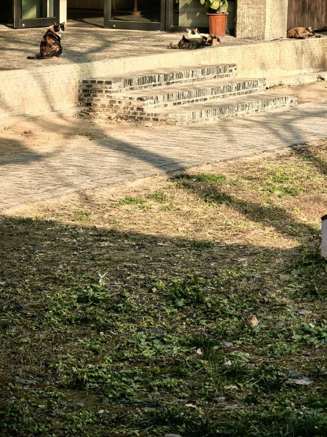 苏州御窑遗址园旅行图片 3