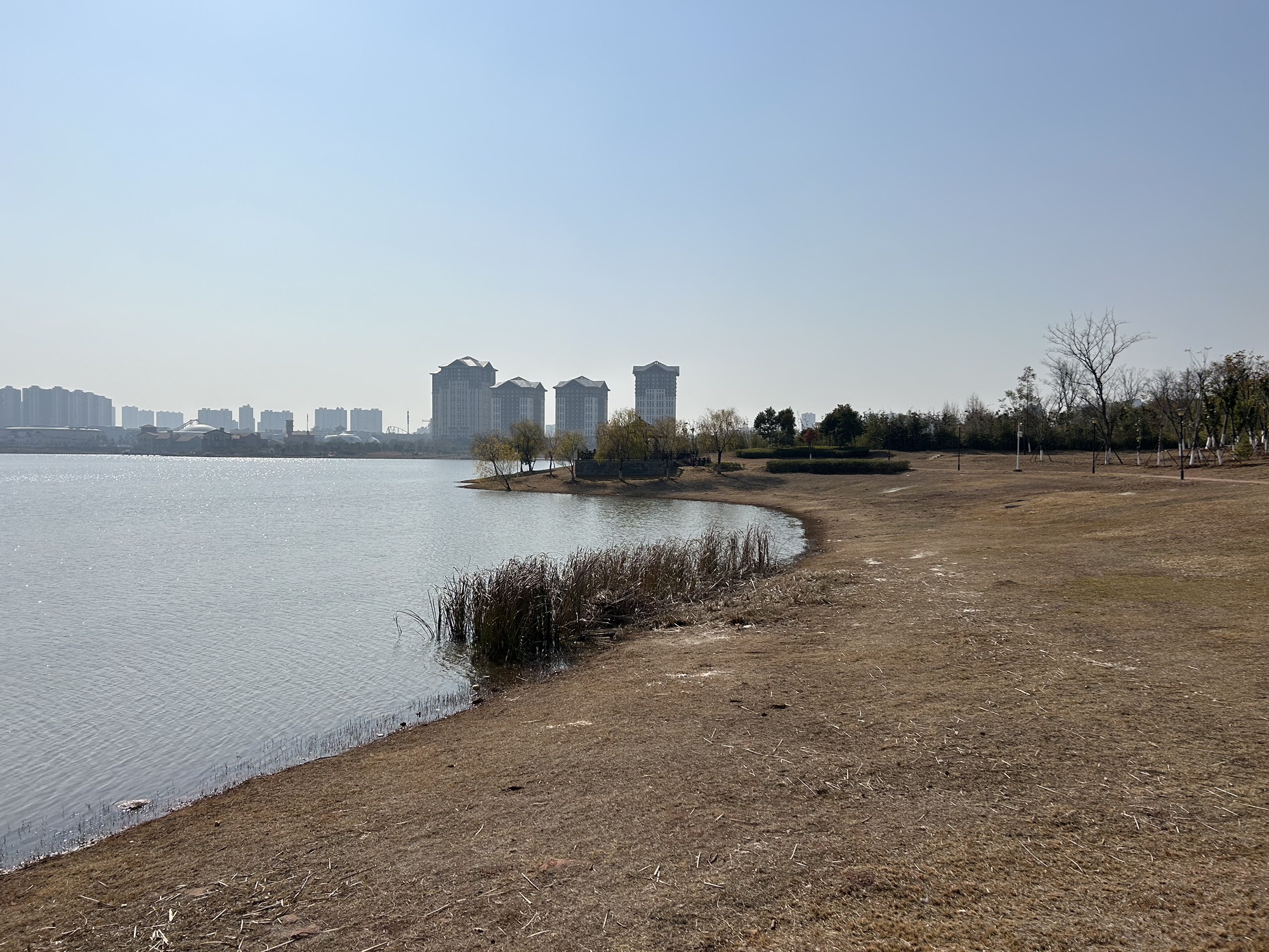 九龙湖公园旅行图片 3