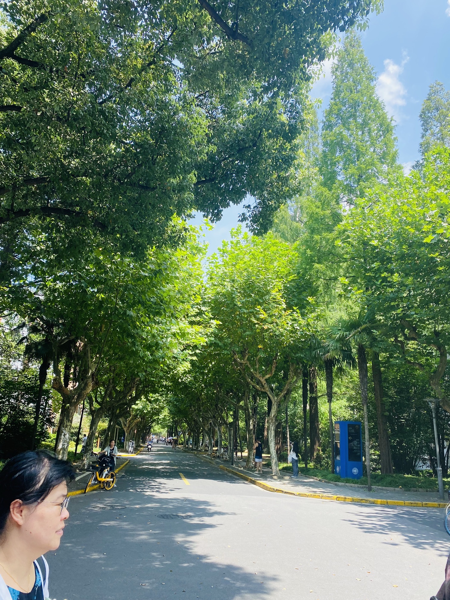 九龙湖公园旅行图片 2