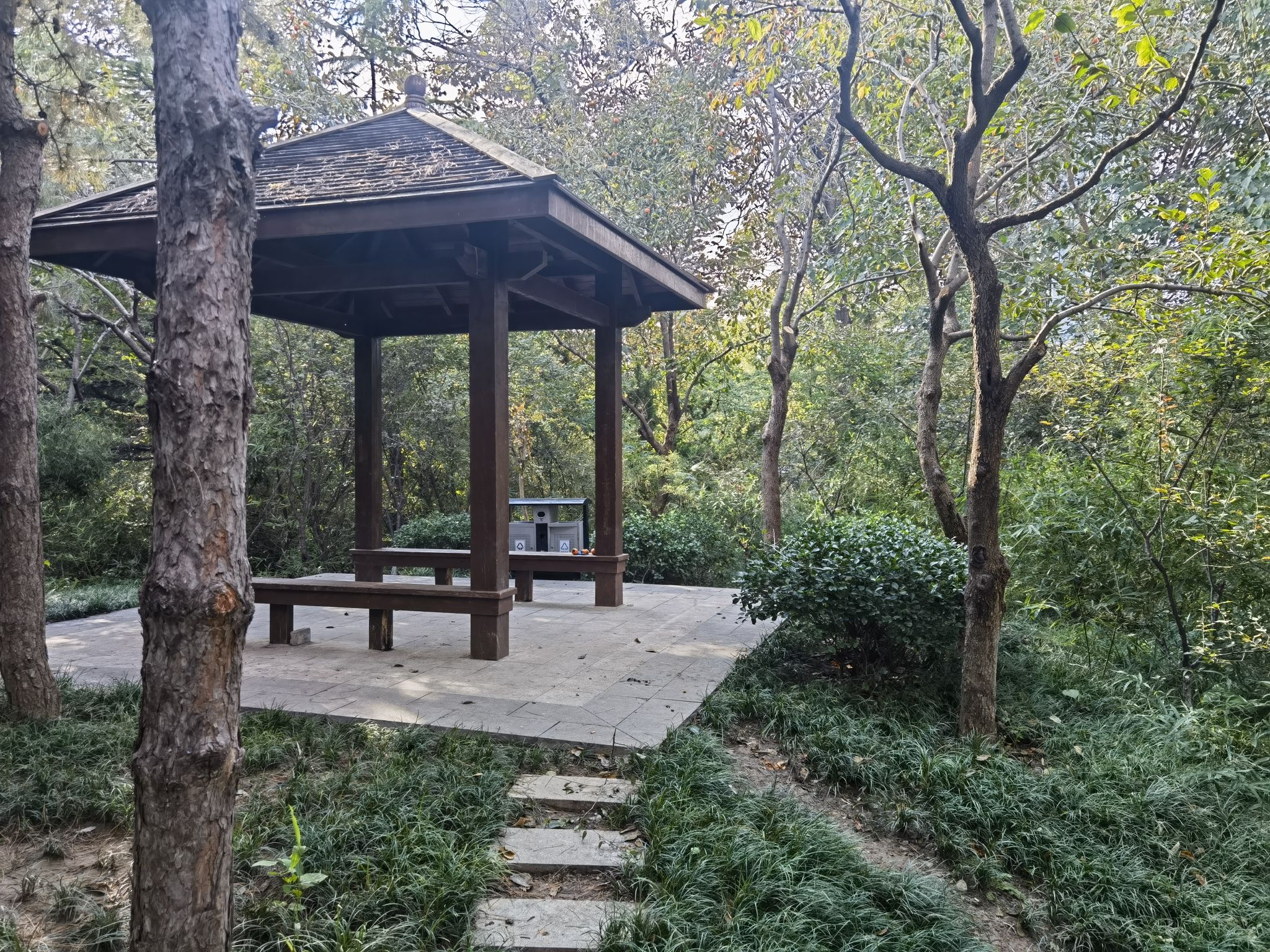 孔融墓旅行图片 3