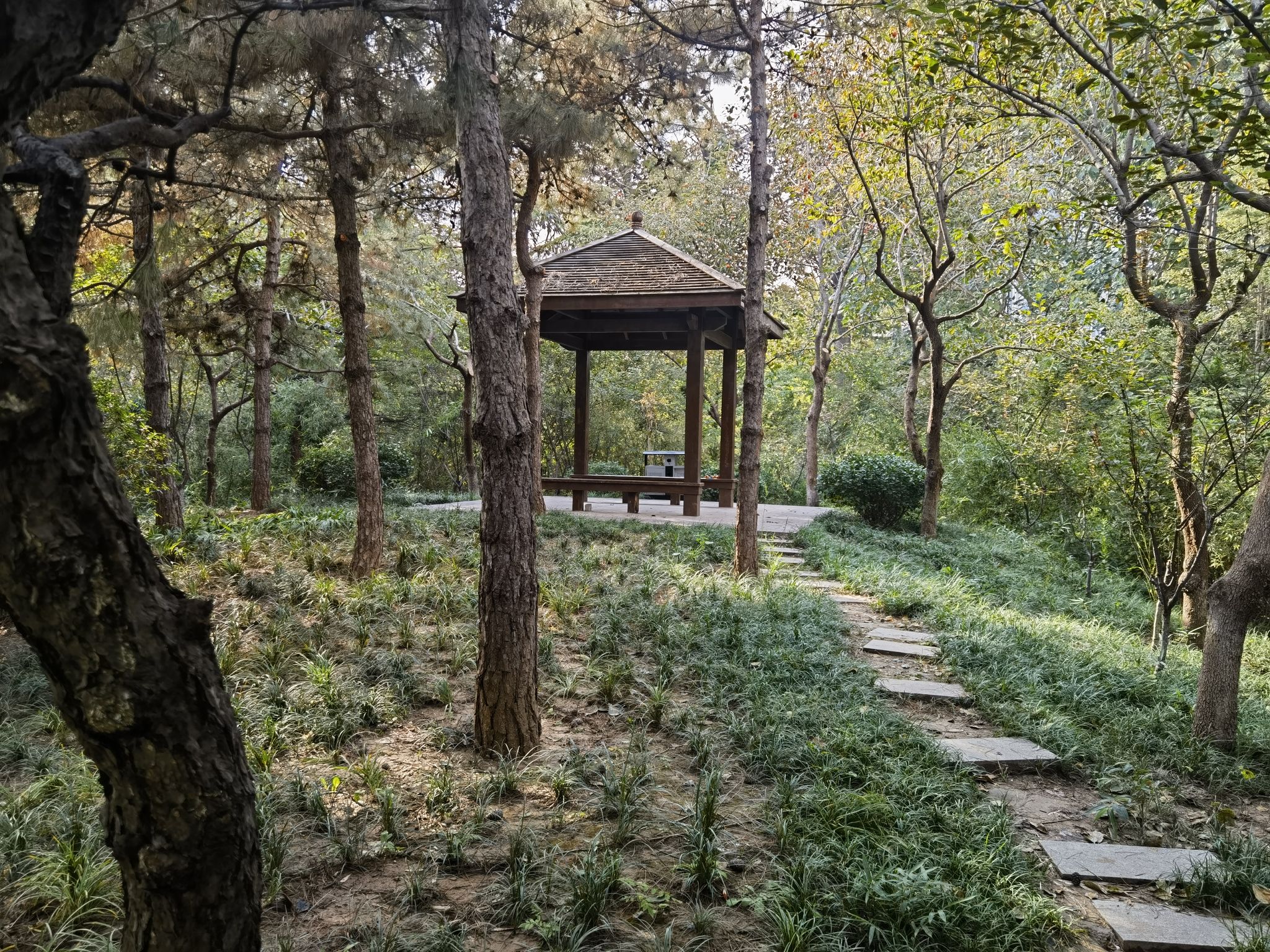 孔融墓旅行图片 2