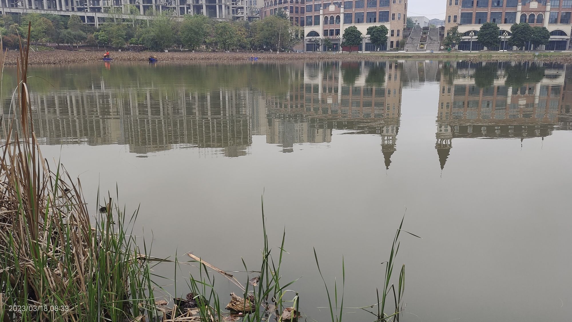 城西湿地公园旅行图片 2