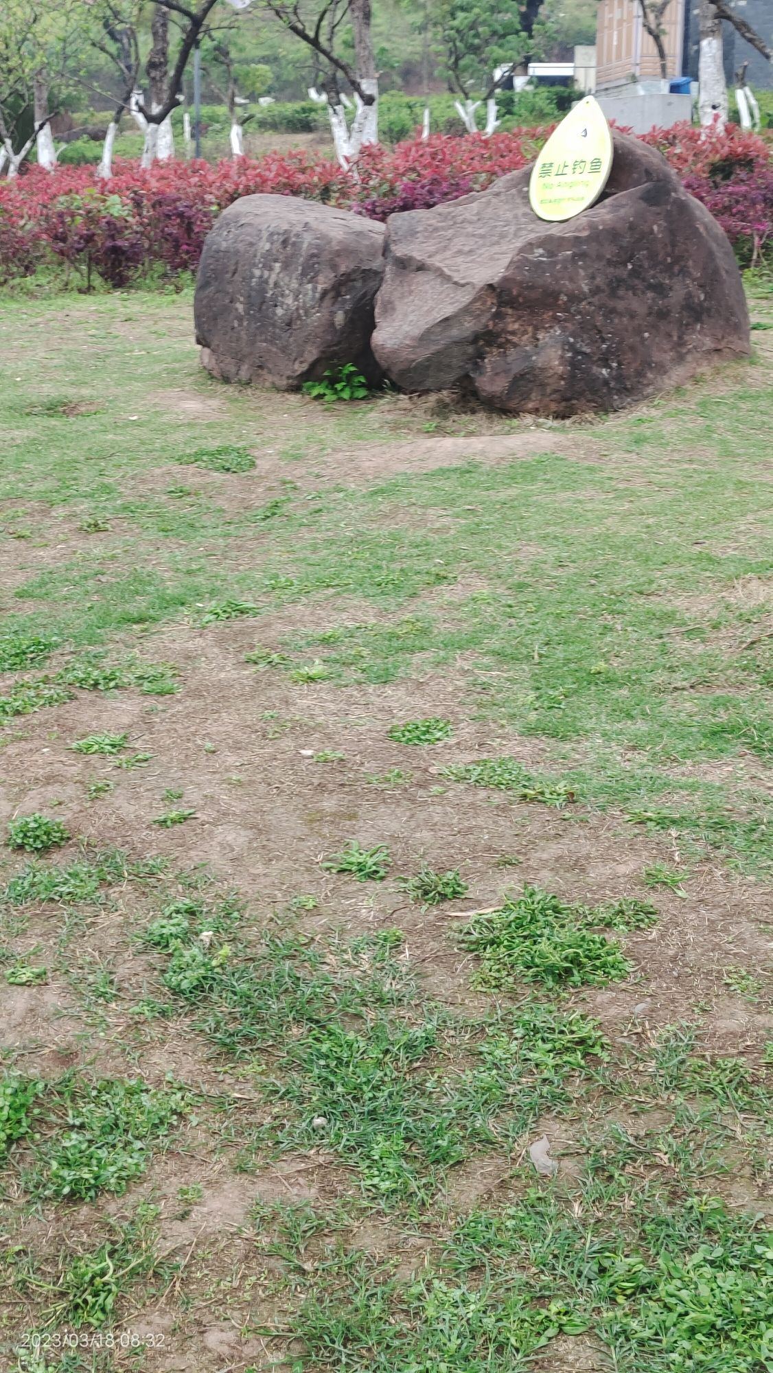 城西湿地公园旅行图片 1
