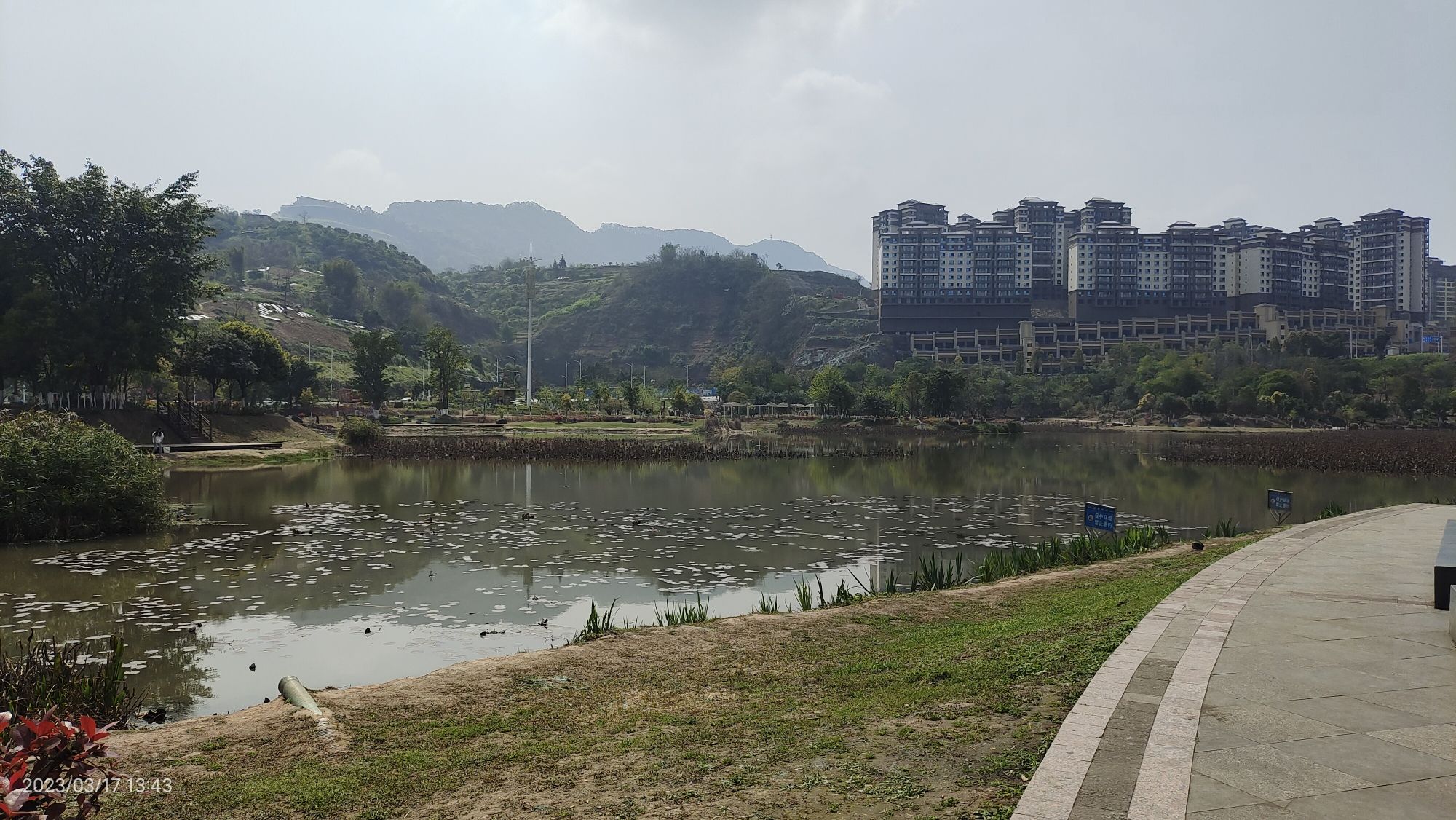城西湿地公园旅行图片 3