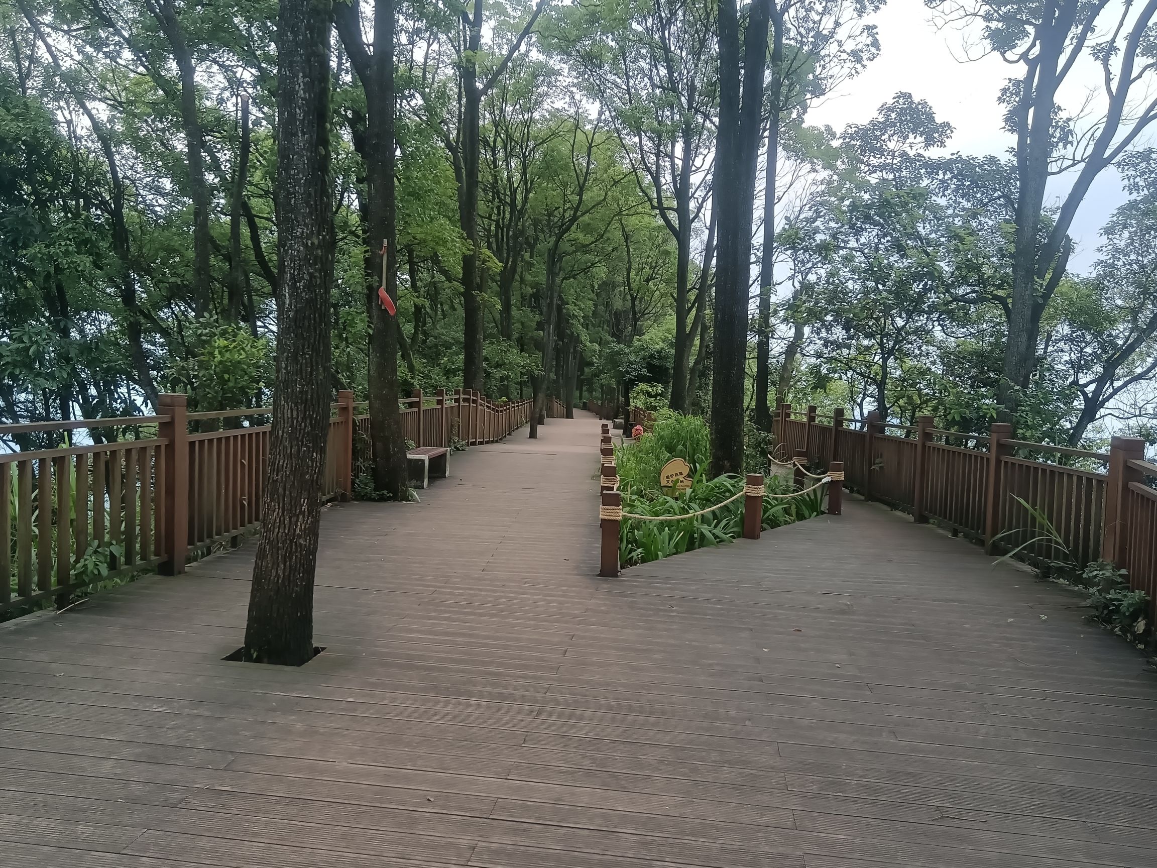 城西湿地公园旅行图片 1