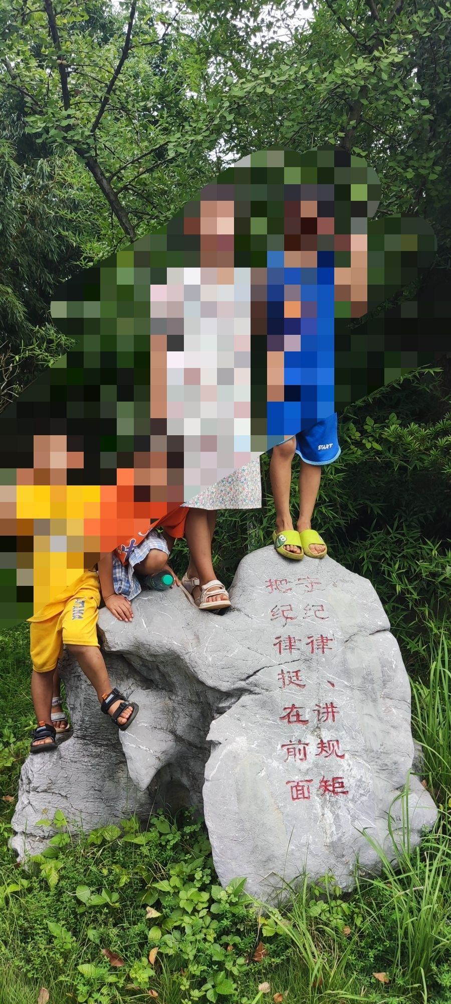 枝叶园旅行图片 1