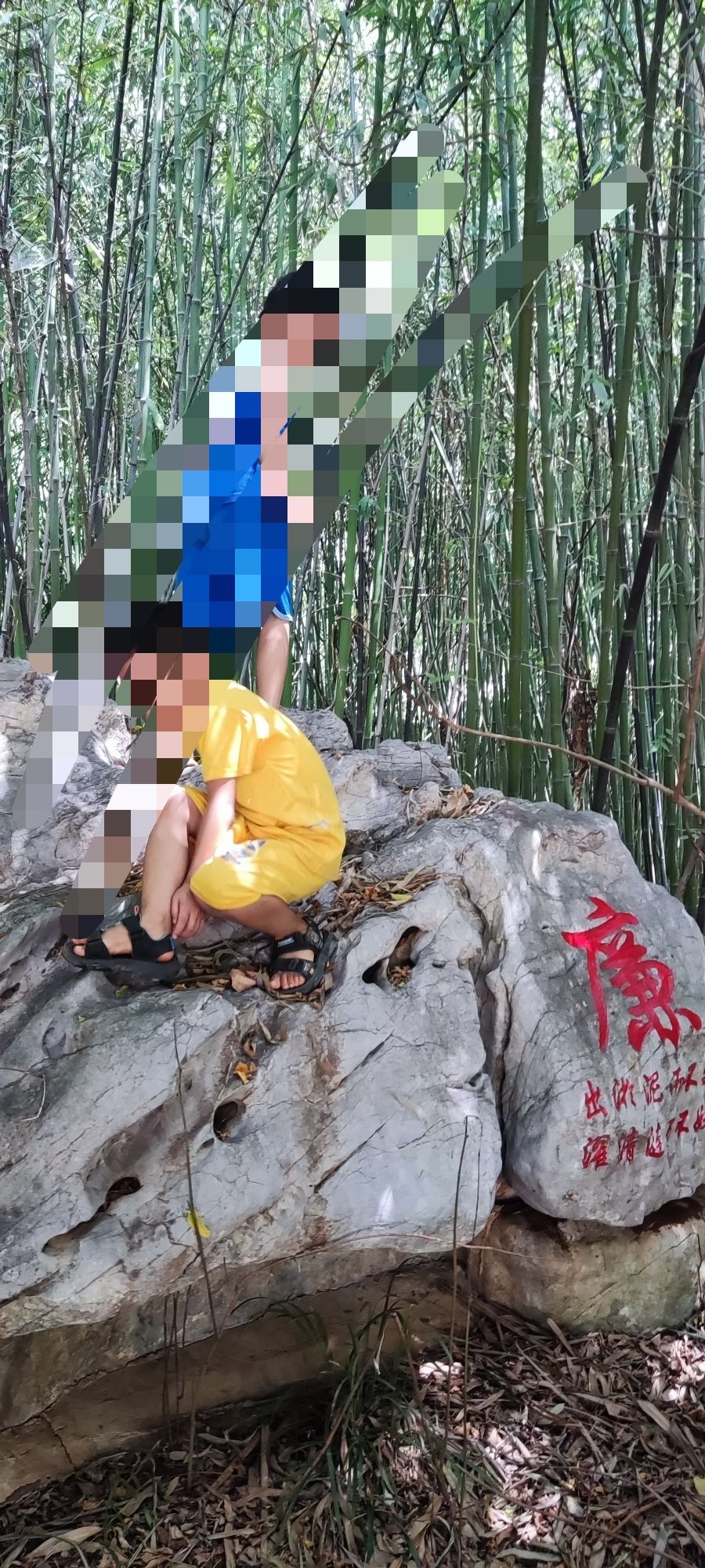 枝叶园旅行图片 3