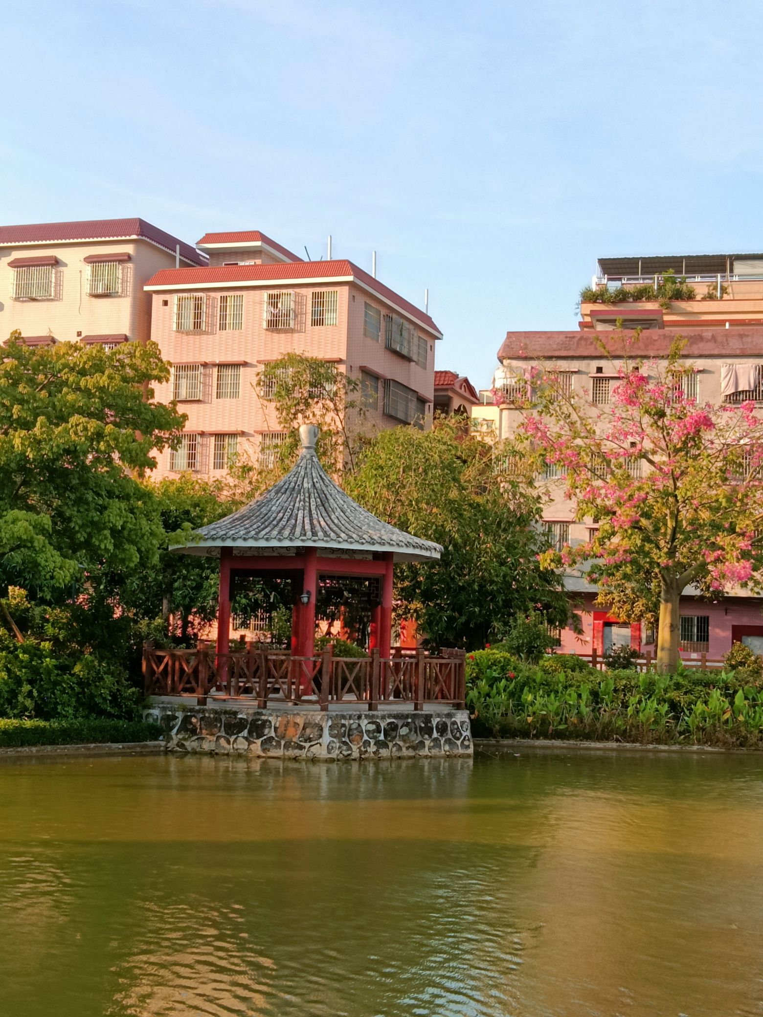 富竹公园旅行图片 1