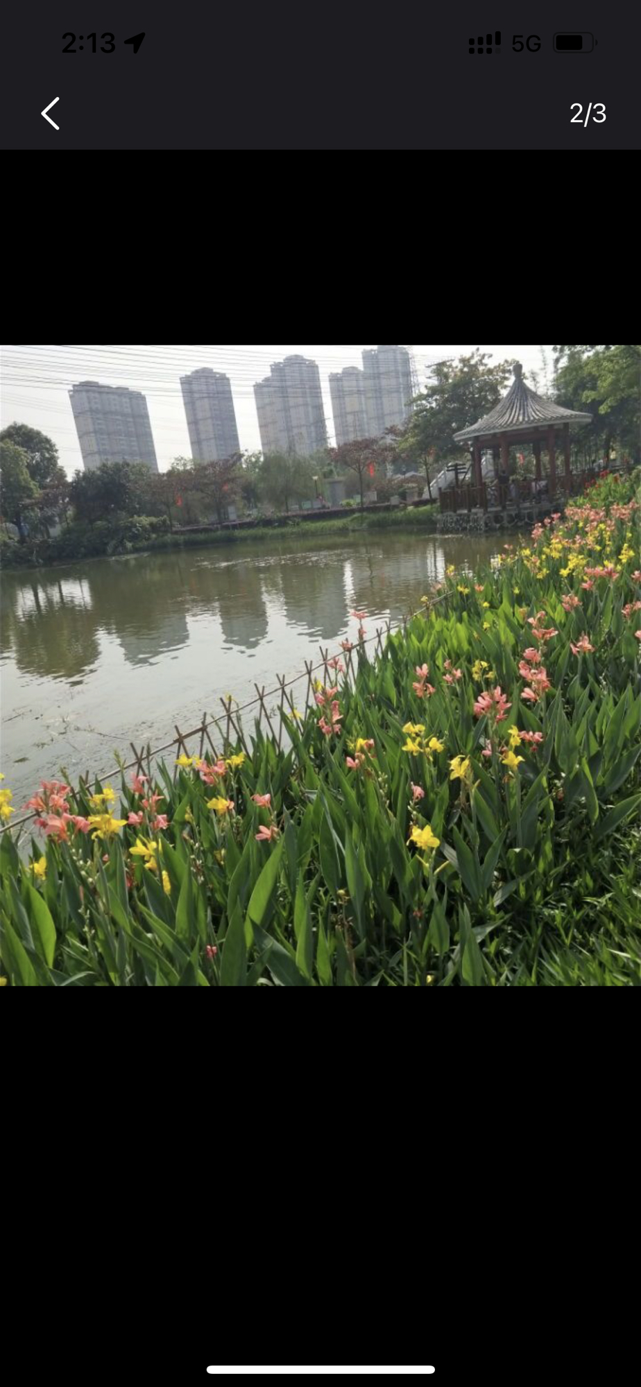 富竹公园旅行图片 3