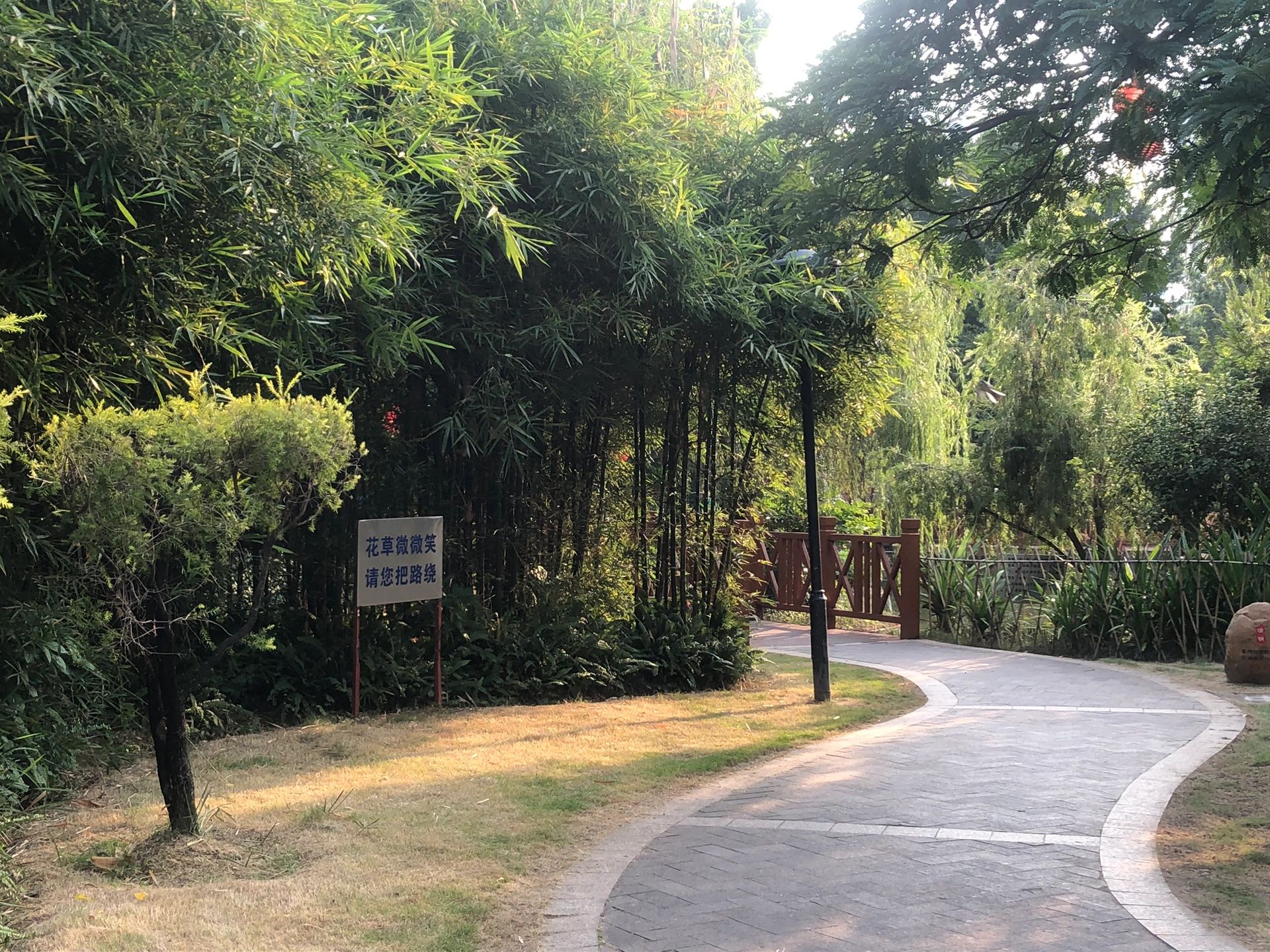 富竹公园旅行图片 1