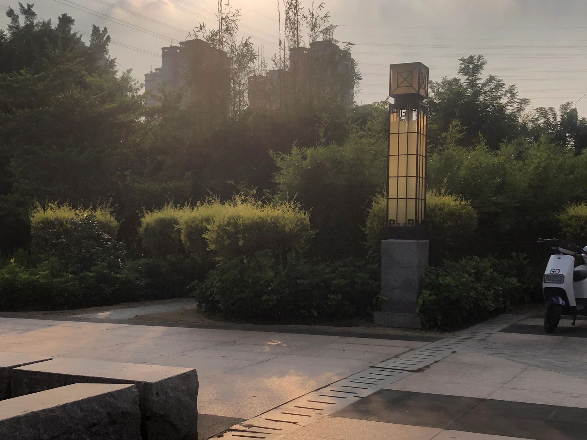 富竹公园旅行图片 2
